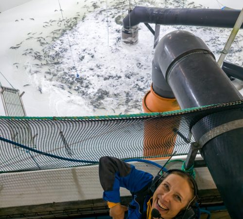 TA tank med fisk Gryta